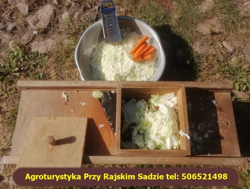 Przy Rajskim Sadzie